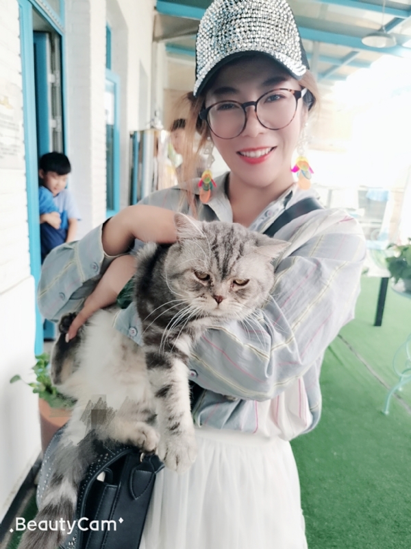 小黑猫的第一张照片--顺昌相亲网