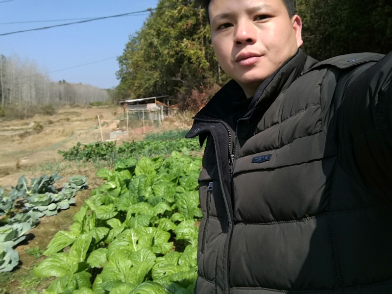 倔强的驴的第一张照片--顺昌相亲网
