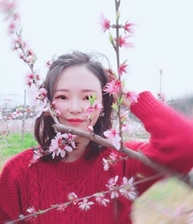小桌子的第一张照片--顺昌相亲网