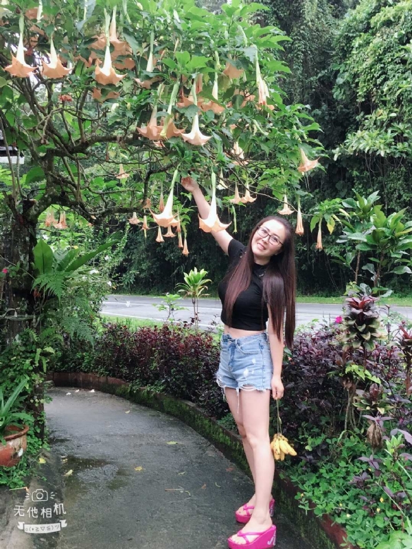 离异单身无子的第二张照片--顺昌相亲网
