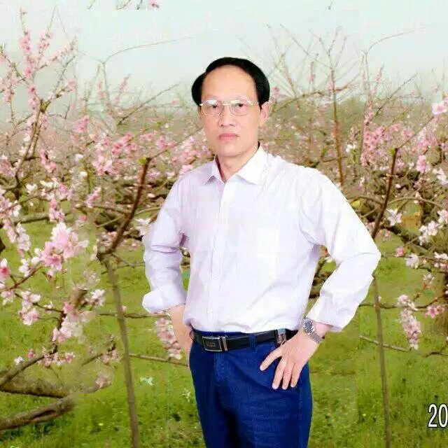 枫叶的第一张照片--顺昌相亲网